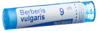 Boiron berberis vulgaris gran 9 CH 4 g, image principale