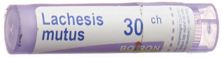 Boiron lachesis mutus gran 30 CH 4 g, image principale