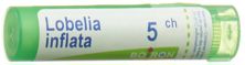 Boiron Lobelia inflata Gran CH 5 4 g, Hauptbild