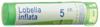 Boiron Lobelia inflata Gran CH 5 4 g, Hauptbild