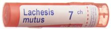 Boiron Lachesis mutus Gran CH 7 4 g, Hauptbild
