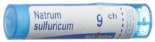 Boiron natrum sulfuricum gran 9 CH 4 g, image principale
