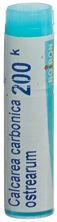 Boiron Calcarea carbonica ostrear Glob 200 K 1 Dos, Hauptbild