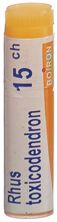 Boiron Rhus toxicodendron Glob CH 15 1 Dos, Hauptbild