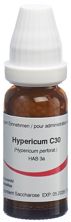 Omida Hypericum Glob C 30 14 g, Hauptbild