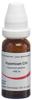 Omida Hypericum Glob C 30 14 g, Hauptbild