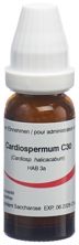 Omida Cardiospermum Glob C 30 14 g, Hauptbild