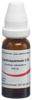 Omida Cardiospermum Glob C 30 14 g, Hauptbild