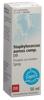 Spenglersan Staphylococ aure comp D 9 Spray 50 ml, Hauptbild