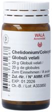 Wala Chelidonium/Colocynthis Glob 20 g, Hauptbild