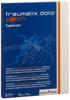 traumalix dolo patch 10cmx12cm 5 pce, image principale