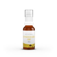 Spengler Staph aureus comp Spray D 13 NEU 20 ml, Hauptbild