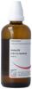 Omida Arnica liq D 4 100 ml, Hauptbild