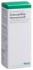 Homaccord Colocynthis Tropfen Fl 30 ml, Hauptbild