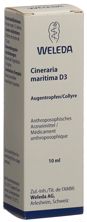 Weleda Cineraria maritima Gtt Opht D 3 Fl 10 ml, Hauptbild