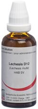 Omida Lachesis liq D 12 50 ml, Hauptbild