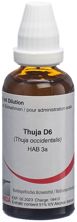 Omida Thuja liq D 6 50 ml, Hauptbild
