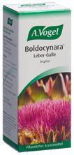 Vogel Boldocynara Leber-Galle Tropfen Fl 100 ml, Hauptbild
