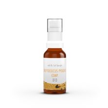 Spengler Streptococcus pyog comp Spray D 13 20 ml, Hauptbild