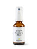 Spagyros Spagyr curcuma longa spr 30 ml, image principale