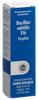 Sanum Bacillus subtilis Tropfen D 6 Fl 5 ml, Hauptbild