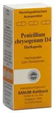 Sanum Penicillium chrysogenum Kaps D 4 20 Stk, Hauptbild