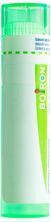 Boiron Asa foetida Gran CH 5 4 g, Hauptbild