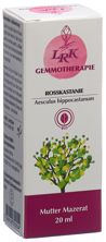LRK Macérat-mère Marronnier d'Inde gouttes 20 ml, image principale