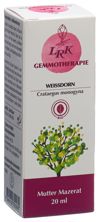 LRK Mutter Mazerat Weissdorn Tropfen Fl 20 ml, Hauptbild