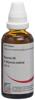 Omida bryonia liq 6 D 50 ml, image principale