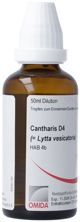 Omida Cantharis liq D 4 50 ml, Hauptbild