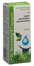 Reckeweg R7 Hepagalen Tropfen Fl 50 ml, Hauptbild