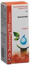 Reckeweg R29 Theridon Tropfen Fl 50 ml, Hauptbild