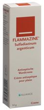 Flammazine crème tb 50 g, image principale