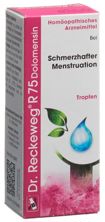 Reckeweg R75 Dolomensin Tropfen Fl 50 ml, Hauptbild
