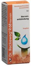 Reckeweg R68 Nervisin Tropfen Fl 50 ml, Hauptbild