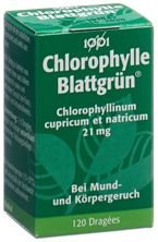Blattgrün 1001 Drag Fl 120 Stk, Hauptbild